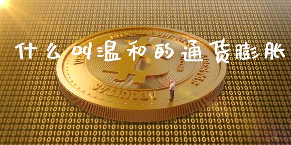 什么叫温和的通货膨胀_https://wap.fcdydaikuan.com_理财顾问_第1张