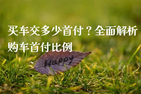 买车交多少首付？全面解析购车首付比例_https://wap.fcdydaikuan.com_理财顾问_第1张