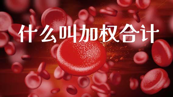 什么叫加权合计_https://wap.fcdydaikuan.com_理财顾问_第1张