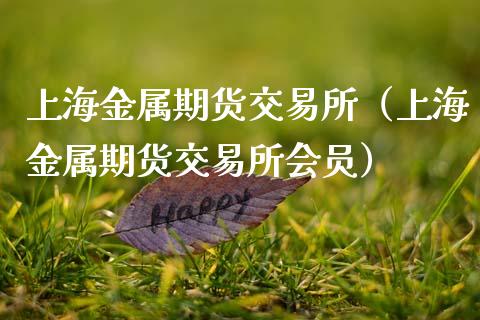 上海金属期货交易所(上海金属期货交易所会员)_投资策略_第1张_国际投资_理财顾问_投资策略_金融机构 上海金属期货交易所(上海金属期货交易所会员)_https://wap.fcdydaikuan.com_投资策略_第1张
