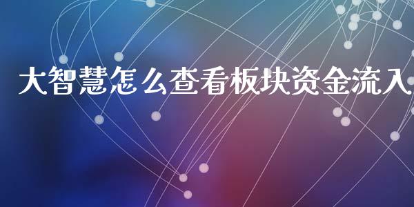 大智慧怎么查看板块资金流入_https://wap.fcdydaikuan.com_金融机构_第1张