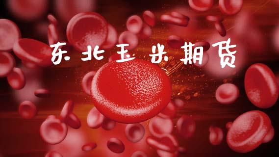 东北玉米期货_https://wap.fcdydaikuan.com_期货品种_第1张