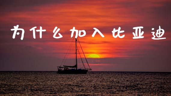 为什么加入比亚迪_https://wap.fcdydaikuan.com_理财顾问_第1张