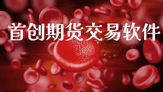首创期货交易软件_https://wap.fcdydaikuan.com_投资策略_第1张