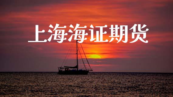 上海海证期货_https://wap.fcdydaikuan.com_投资策略_第1张