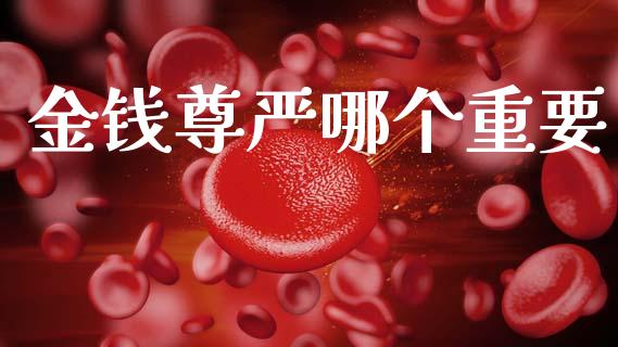 金钱尊严哪个重要_https://wap.fcdydaikuan.com_期货品种_第1张