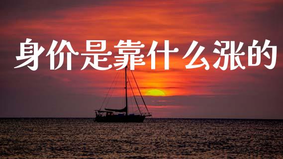 身价是靠什么涨的_https://wap.fcdydaikuan.com_国际投资_第1张