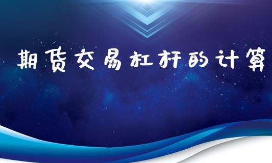 期货交易杠杆的计算_https://wap.fcdydaikuan.com_期货品种_第1张