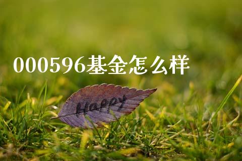 000596基金怎么样_https://wap.fcdydaikuan.com_金融机构_第1张