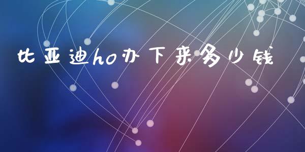比亚迪ho办下来多少钱_https://wap.fcdydaikuan.com_新股数据_第1张