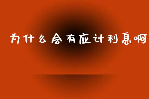为什么会有应计利息啊_https://wap.fcdydaikuan.com_期货品种_第1张