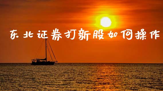 东北证券打新股如何操作_https://wap.fcdydaikuan.com_国际投资_第1张