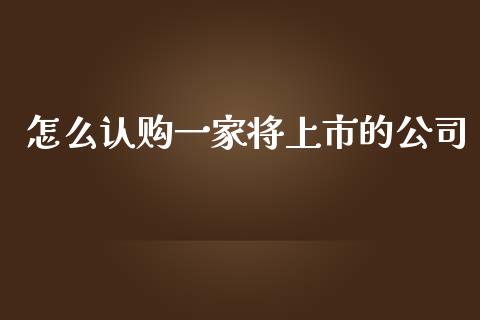 怎么认购一家将上市的公司_https://wap.fcdydaikuan.com_期货品种_第1张