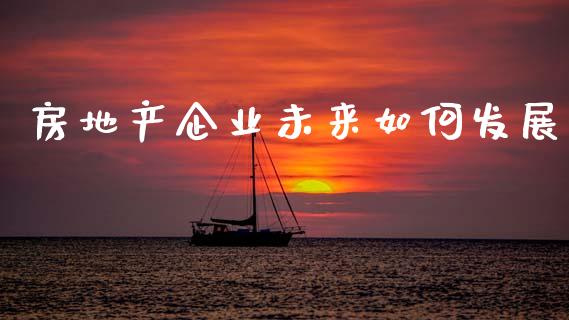 房地产企业未来如何发展_https://wap.fcdydaikuan.com_国际投资_第1张