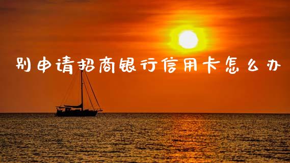 别申请招商银行信用卡怎么办_https://wap.fcdydaikuan.com_投资策略_第1张