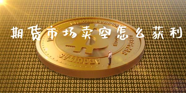 期货市场卖空怎么获利_https://wap.fcdydaikuan.com_投资策略_第1张