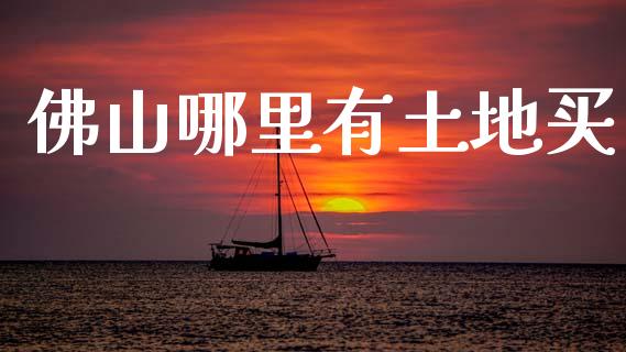 佛山哪里有土地买_https://wap.fcdydaikuan.com_国际投资_第1张