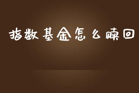 指数基金怎么赎回_https://wap.fcdydaikuan.com_投资策略_第1张