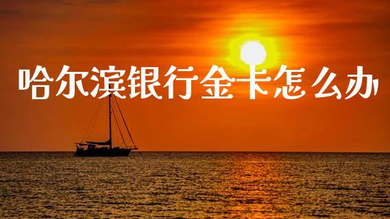哈尔滨银行金卡怎么办_https://wap.fcdydaikuan.com_期货品种_第1张