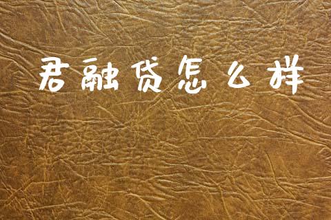 君融贷怎么样_https://wap.fcdydaikuan.com_国际投资_第1张