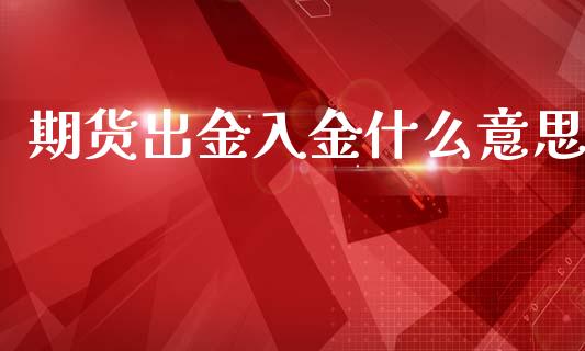 期货出金入金什么意思_https://wap.fcdydaikuan.com_投资策略_第1张