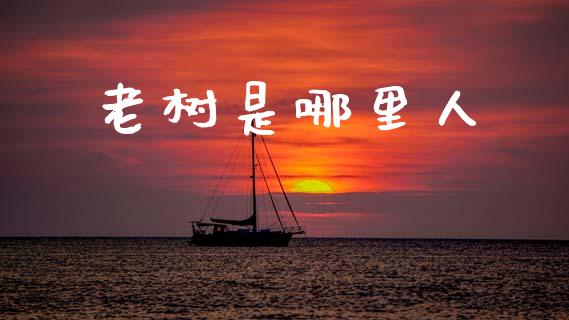 老树是哪里人_https://wap.fcdydaikuan.com_国际投资_第1张