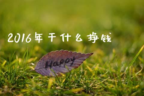 2016年干什么挣钱_https://wap.fcdydaikuan.com_金融机构_第1张