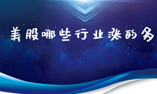 美股哪些行业涨的多_https://wap.fcdydaikuan.com_理财顾问_第1张
