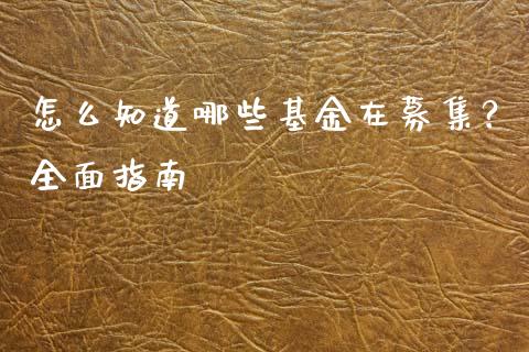 怎么知道哪些基金在募集？全面指南_https://wap.fcdydaikuan.com_理财顾问_第1张