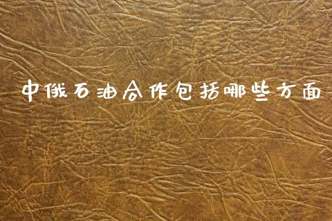 中俄石油合作包括哪些方面_https://wap.fcdydaikuan.com_金融机构_第1张