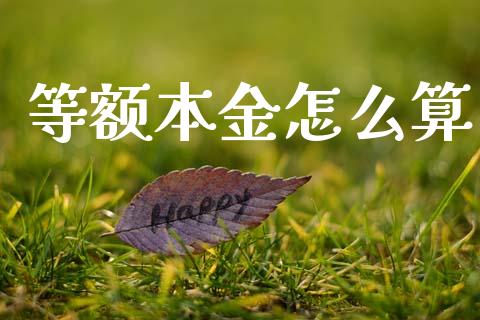 等额本金怎么算_https://wap.fcdydaikuan.com_国际投资_第1张