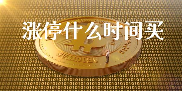 涨停什么时间买_https://wap.fcdydaikuan.com_金融机构_第1张