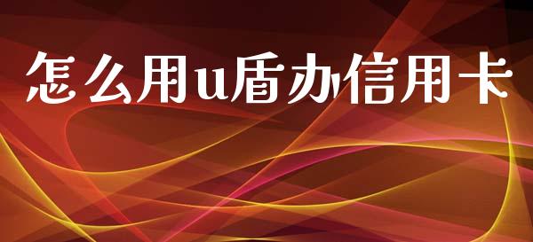 怎么用u盾办信用卡_https://wap.fcdydaikuan.com_国际投资_第1张