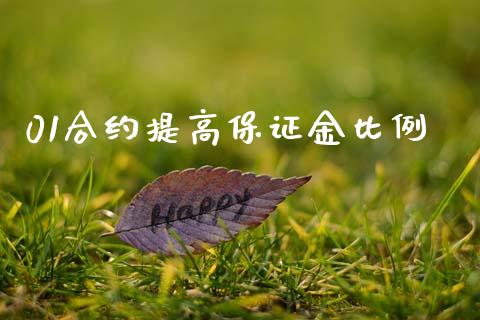 01合约提高保证金比例_https://wap.fcdydaikuan.com_投资策略_第1张