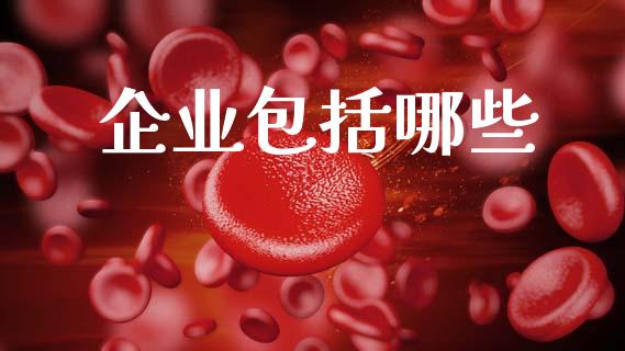 企业包括哪些_https://wap.fcdydaikuan.com_国际投资_第1张