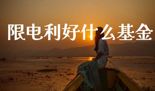 限电利好什么基金_https://wap.fcdydaikuan.com_金融机构_第1张