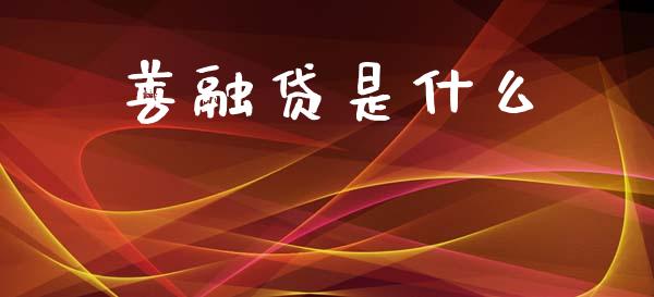 善融贷是什么_https://wap.fcdydaikuan.com_投资策略_第1张