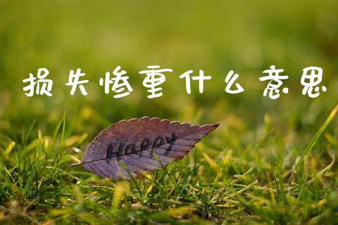 损失惨重什么意思_https://wap.fcdydaikuan.com_投资策略_第1张