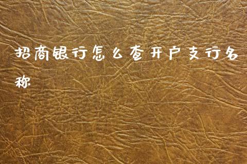 招商银行怎么查开户支行名称_https://wap.fcdydaikuan.com_投资策略_第1张
