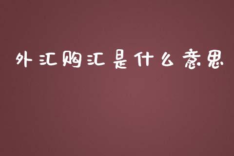 外汇购汇是什么意思_https://wap.fcdydaikuan.com_期货品种_第1张