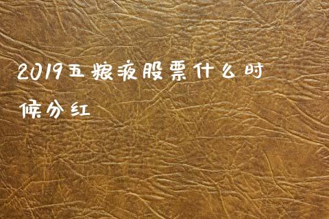 2019五粮液股票什么时候分红_https://wap.fcdydaikuan.com_理财顾问_第1张