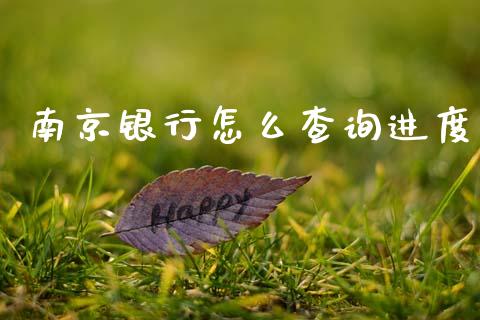 南京银行怎么查询进度_https://wap.fcdydaikuan.com_国际投资_第1张