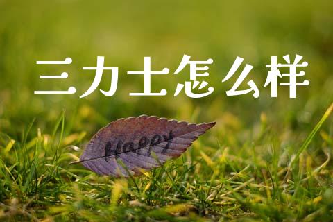 三力士怎么样_https://wap.fcdydaikuan.com_投资策略_第1张