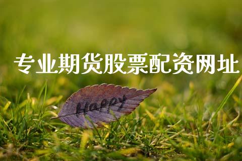 专业期货股票配资网址_https://wap.fcdydaikuan.com_期货品种_第1张