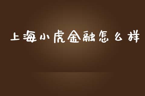 上海小虎金融怎么样_https://wap.fcdydaikuan.com_投资策略_第1张