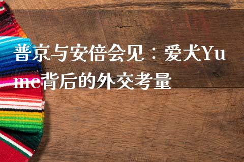 普京与安倍会见：爱犬Yume背后的外交考量_https://wap.fcdydaikuan.com_新股数据_第1张