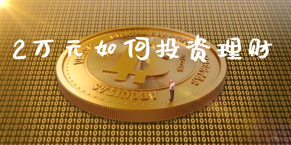 2万元如何投资理财_https://wap.fcdydaikuan.com_金融机构_第1张