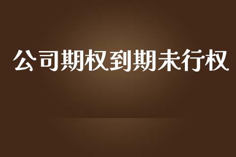公司期权到期未行权_https://wap.fcdydaikuan.com_国际投资_第1张