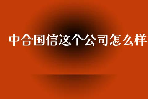 中合国信这个公司怎么样_https://wap.fcdydaikuan.com_金融机构_第1张