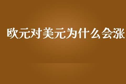 欧元对美元为什么会涨_https://wap.fcdydaikuan.com_金融机构_第1张